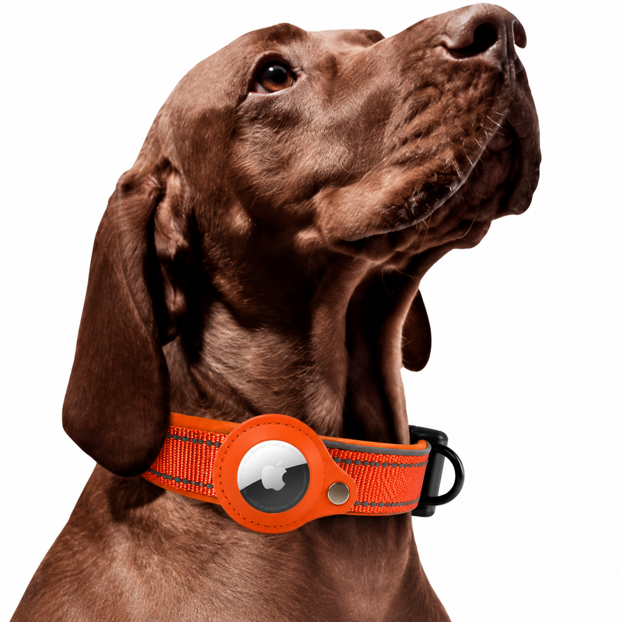 AirTag Dog Collar with Reflective Stitching